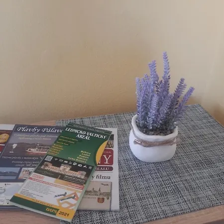 Apartment Sandra Valtice