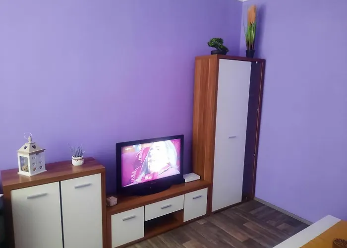 Sandra וואלטיצה